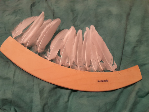 allererster Aurakamm