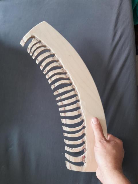 allererster Aurakamm